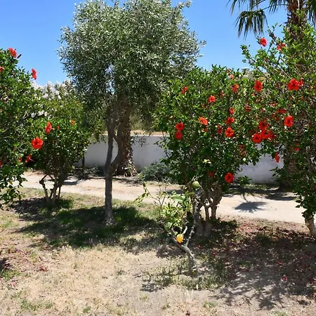 Daire 1-bedroom Kos Olympia At *