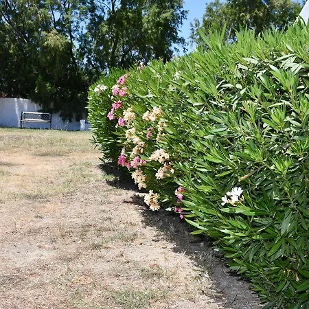 1-bedroom Kos Olympia At Lambi (Kos)