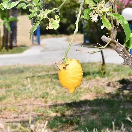 Daire 1-bedroom Kos Olympia At *