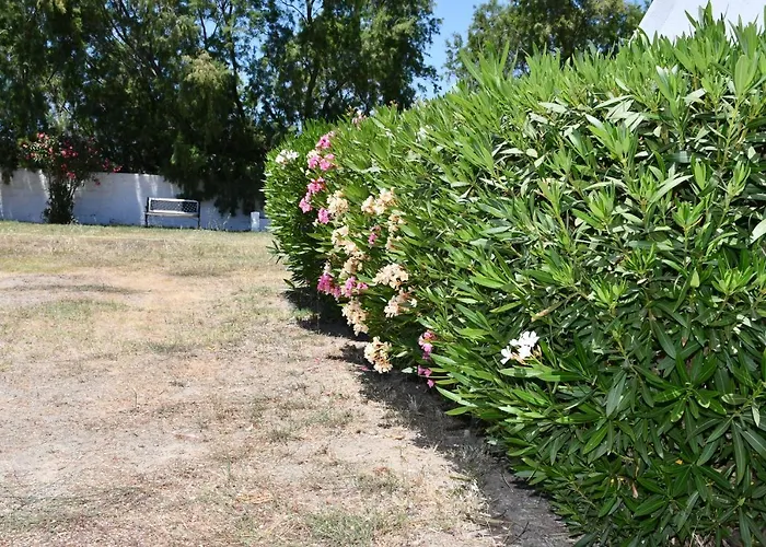 1-bedroom Kos Olympia At لامبي