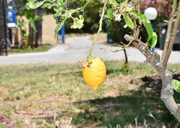 شقة 1-bedroom Kos Olympia At *