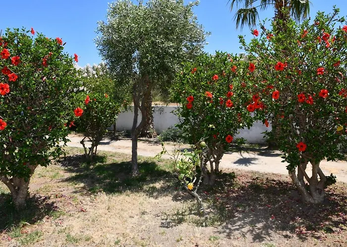 Appartement 1-bedroom Kos Olympia At *